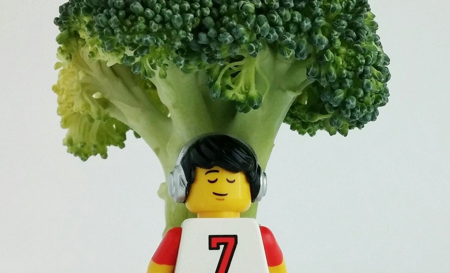 A LEGO one with his flexitarian diet.