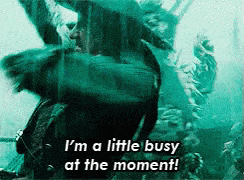 A gif of a pirate saying he's too busy to drink water.