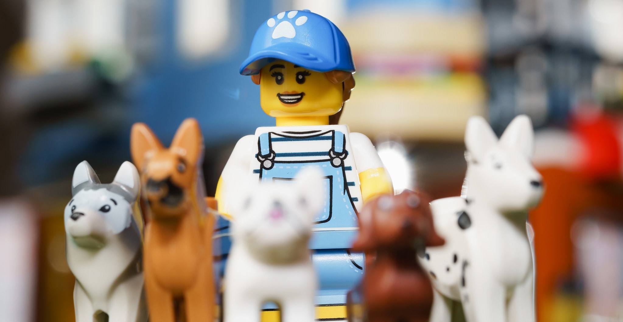 A picture of a LEGO dog sitter.
