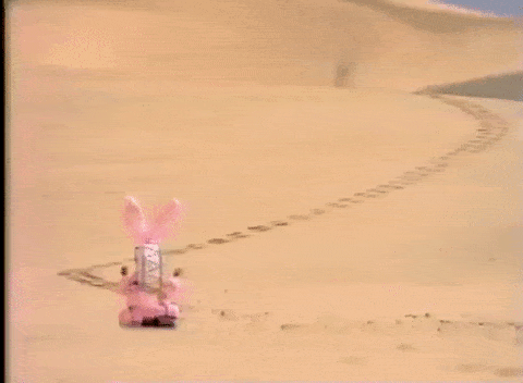 Does this bunny fast in the morning to get his energy?