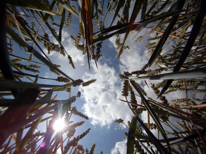 Intermittent fasting can potentially have some very positive benefits for somebody trying to lose weight or gain lean body mass. Don't overthink intermittent fasting. Relax, try it, and see how you feel!