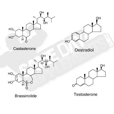 Comparison Visual: Plant Sterols VS Human Steroids plant-hormone-vs-mammal-hormone laxo