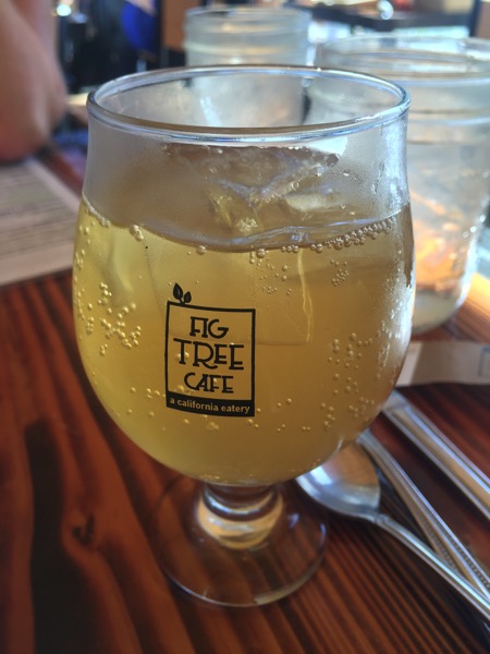 kombucha Fig Tree Cafe Kombucha